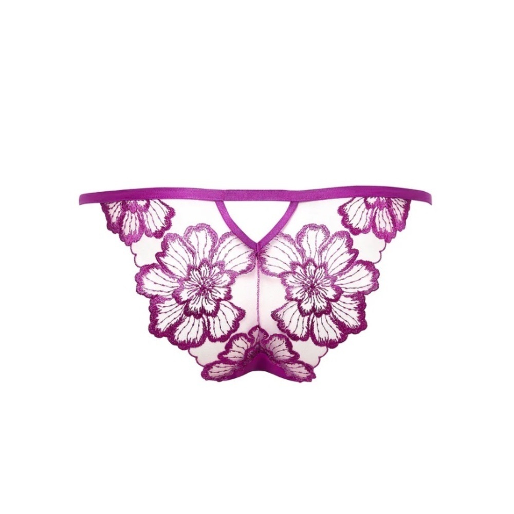 Bluebella Catalina brief size xs , 4 purple new wtags